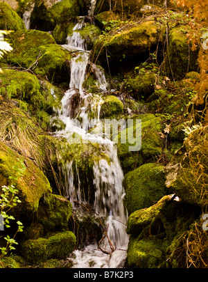 La molla piccola corrente in Yosemite National Forest Foto Stock