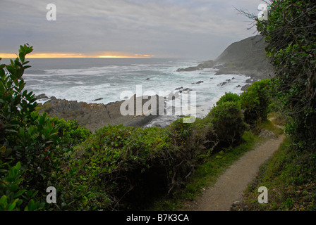 Costiera di Tsitsikama Parco Nazionale della Garden Route del Sud Africa. Questo è l' inizio della lontra famouss sentiero escursionistico Foto Stock