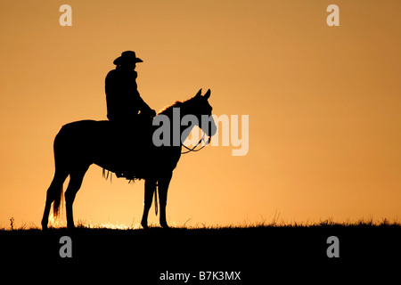 Cowboy equitazione quarto cavallo sulla gamma all'alba Foto Stock