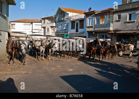 Cavalli schierate con i loro carrelli in attesa per le tariffe a Buyukada, la più grande delle Isole dei Principi, Istanbul, Turchia Foto Stock