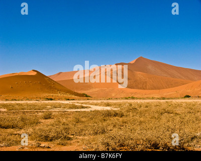 Deserto del Namib Foto Stock