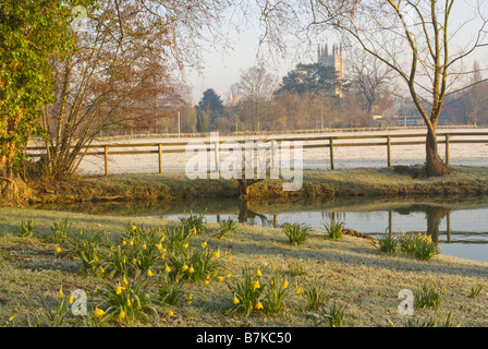 Magdalen Tower su campo di Merton in inverno, Oxford Foto Stock