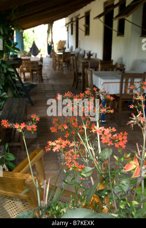 Honduras, Copan, Hacienda San Lucas. Hacienda San Lucas, 100 anni di proprietà che è stato convertito in un eco-lodge nel 2000 Foto Stock