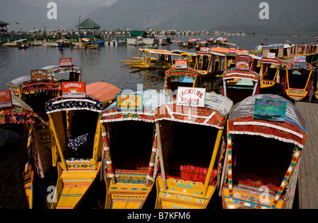 Shakaras sul Lago Dal in Scrinagar, Kashmir Foto Stock