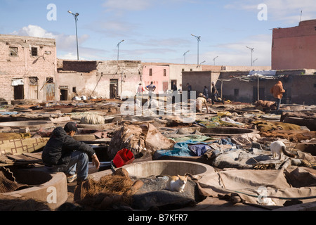 Marrakech marocco Nord Africa tini di pelli di cuoio e le persone che lavorano in un antica Conceria di proprietà di cooperativa di famiglie Foto Stock