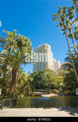 Giardini Botanici di Brisbane, Queensland, Australia Foto Stock