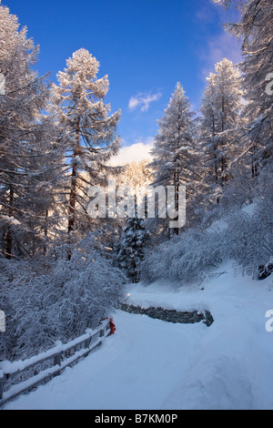 Strada innevata in montagna al di sopra di Zermatt Foto Stock
