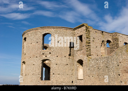 Castello di Borgholm Foto Stock