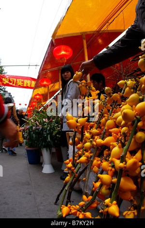 Oro su frutta dicplay in Guangzhou Il Mercato dei Fiori per l'Anno Nuovo Cinese Foto Stock