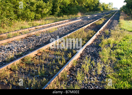 Linea ferroviaria di campagna poco utilizzata con erbacce tra le rotaie in un'immagine che corre dal basso a sinistra verso l'alto a destra con una forte vista in prospettiva in linea retta. Foto Stock