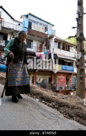 MacLeodganj nei foothills dell'Himalaya. Dharamsala. Himachal Pradesh. India. Foto Stock