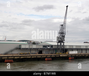 Gru di banchina presso il terminal delle navi da crociera e Southampton Inghilterra, Regno Unito. Foto Stock