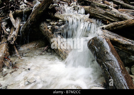 Flusso in gola Sucha bela Paradiso Slovacco, Slovacchia Foto Stock