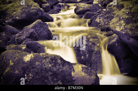 Cascata di acqua vicino Burrator serbatoio in autunno Dartmoor UK-gradiente Foto Stock