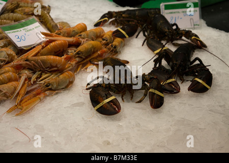 Aragosta fresca e gamberi in vendita su un pescivendoli in stallo Foto Stock