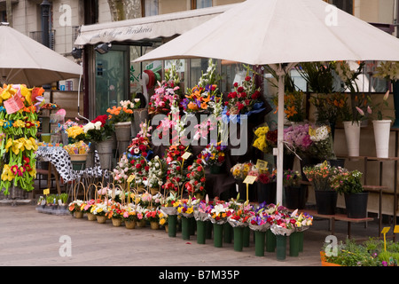 Bancarelle di fiori sulla Rambla di Barcellona Spagna Foto Stock