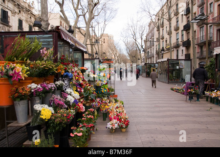 Bancarelle di fiori sulla Rambla di Barcellona Spagna Foto Stock