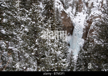 Torre cade in inverno, il Parco Nazionale di Yellowstone, Wyoming. Foto Stock