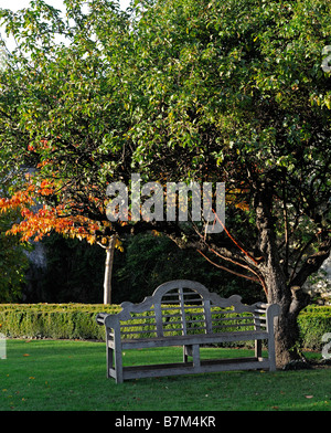 Sedile unico sotto posti a sedere sotto albero autunno farmleigh house Phoenix Park di Dublino tranquillo relax tranquillo Foto Stock