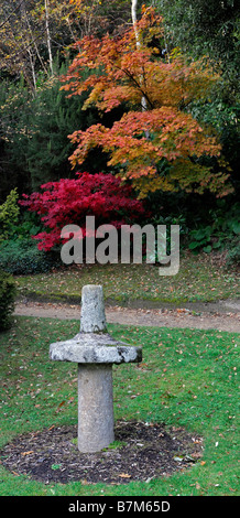 Giallo arancione e Fiery color rosso acer palmatum Foglie di autunno foglia caduta autunnale colore colore alberi ad albero scultura giapponese Foto Stock