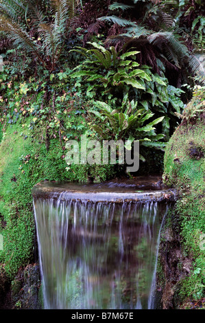 Fontana di acqua scultura in cascata giardino giapponese architettura giardinaggio dettagli architettonici close up closeup Foto Stock