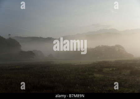 In autunno la mattina presto mist, Nant Gwynant valley Snowdonia, il Galles del Nord Foto Stock