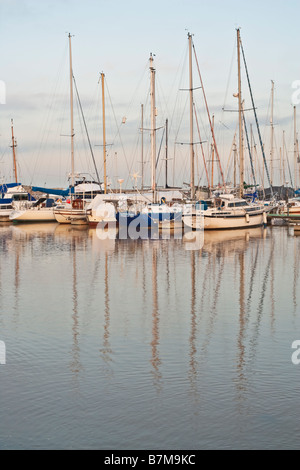 Imbarcazioni da diporto ormeggiate al Marina nel Northumbrian villaggio di pescatori di camminare, Northumberland, Inghilterra Foto Stock