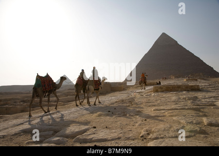 Piramidi di Giza in Egitto, sabbia, deserto caldo, vacanze, viaggi, turisti, Corsa in Cammello Foto Stock