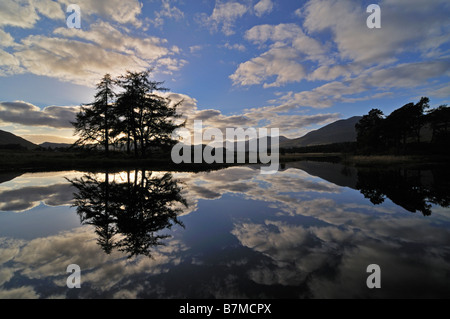 Stagliano pini riflessioni cloud in Loch Tulla Rannoch Moor Highlands scozzesi UK Foto Stock