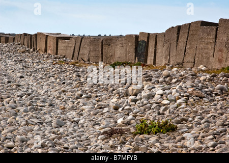 Blocco di calcestruzzo le difese costiere alla spiaggia di Aberthaw nel Galles del Sud Foto Stock