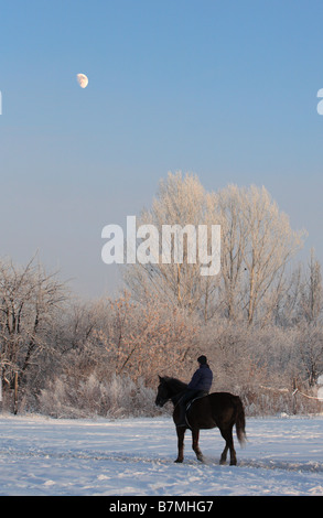 La donna viaggi a cavallo su legno inverno nella notte Foto Stock