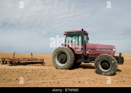 Israeliano arabo beduino lavorando nel campo con un trattore agricolo. Deserto di Negev Israele Foto Stock