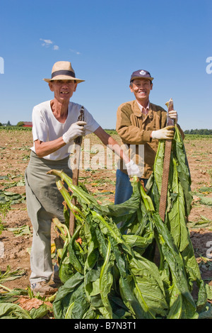 I coltivatori di tabacco in Ontario Canada Foto Stock