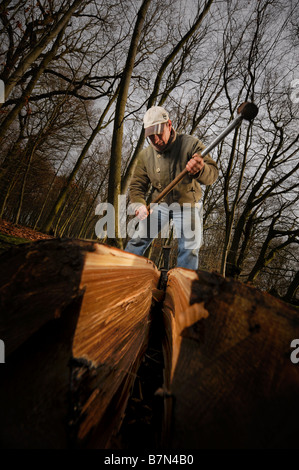 La separazione dei tronchi di castagno dolce che viene utilizzata per la costruzione di una recinzione di scorze Sussex in modo tradizionale. Foto di Jim Holden. Foto Stock