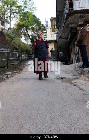 MacLeodganj nei foothills dell'Himalaya. Dharamsala. Himachal Pradesh. India. Foto Stock