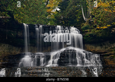 Colore di autunno a ridere coregoni cade in Alger County Michigan Foto Stock