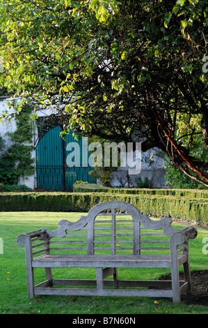 Sedile unico sotto posti a sedere sotto albero autunno farmleigh house Phoenix Park di Dublino tranquillo relax tranquillo Foto Stock