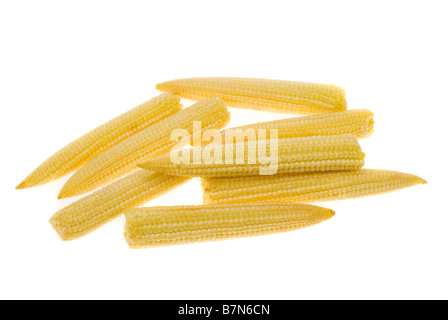 Baby corn isolato su uno sfondo bianco Foto Stock