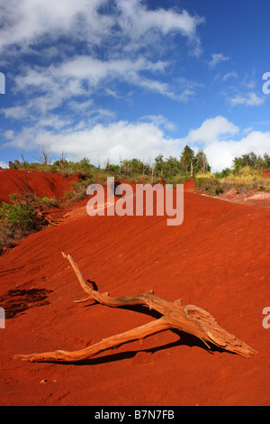 Il Canyon di Waimea e i suoi impressionanti scogliere arancione sull'isola di Kauai Hawaii, STATI UNITI D'AMERICA Foto Stock