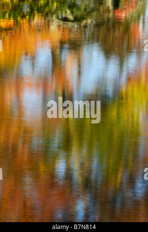 Abstract di autunno riflessioni in Cleveland scogliere bacino in Hiawatha National Forest Michigan Foto Stock