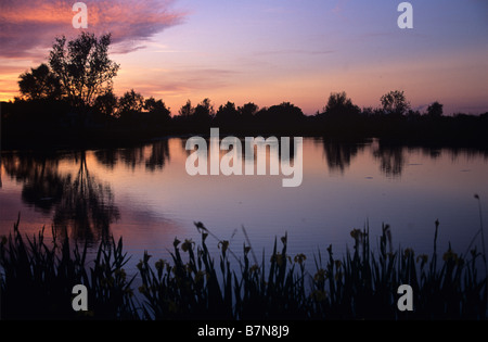Tramonto sul lago di Vaccarès (Etang Vaccarès), la Camargue, la Provenza, Francia Foto Stock