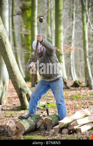 La separazione dei tronchi di castagno dolce che viene utilizzata per la costruzione di una recinzione di scorze Sussex in modo tradizionale. Foto di Jim Holden. Foto Stock