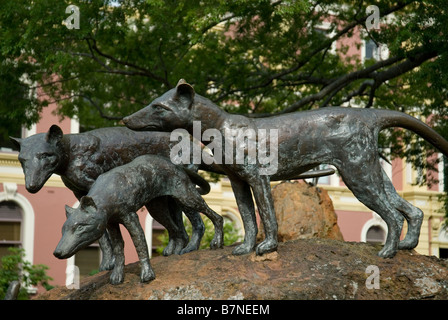 Thylacine o Tasmanian Tiger scultura a Launceston , Tasmania Foto Stock