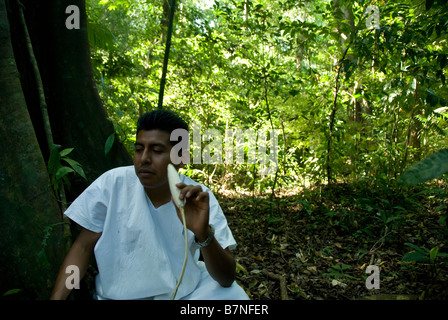 Un uomo messicano in una foresta Foto Stock