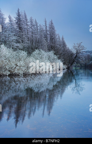 Trasformata per forte gradiente smerigliati alberi sulle rive del Fiume Ure come esso si snoda attraverso Wensleydale vicino Aysgarth Yorkshire Dales R.U. Foto Stock