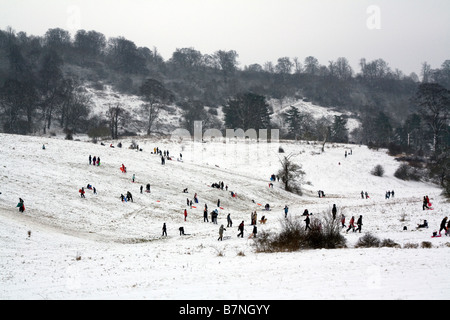 Tring Park Herts inverno 2/2/2009 Foto Stock