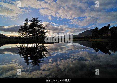 Stagliano pini riflessioni cloud in Loch Tulla Rannoch Moor Highlands scozzesi UK Foto Stock