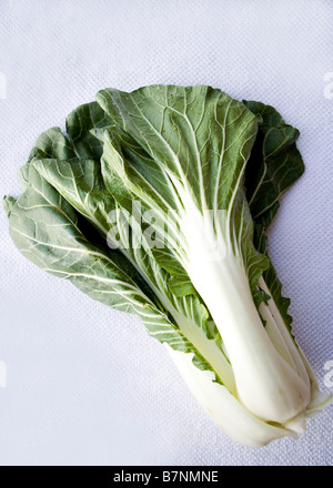 Fresh Cavolo cinese, bok choi, cavolo cinese Foto Stock