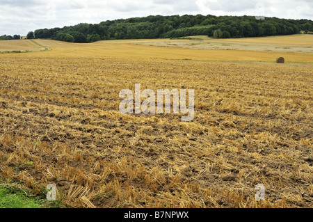 Picardie estate paesaggio rurale Francia Foto Stock