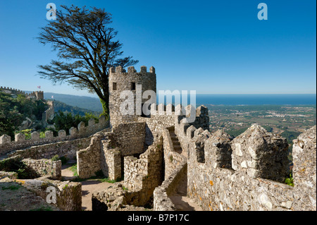 Costa di Lisbona, Sintra, il Castelo dos Mouros - il Castello dei Mori Foto Stock